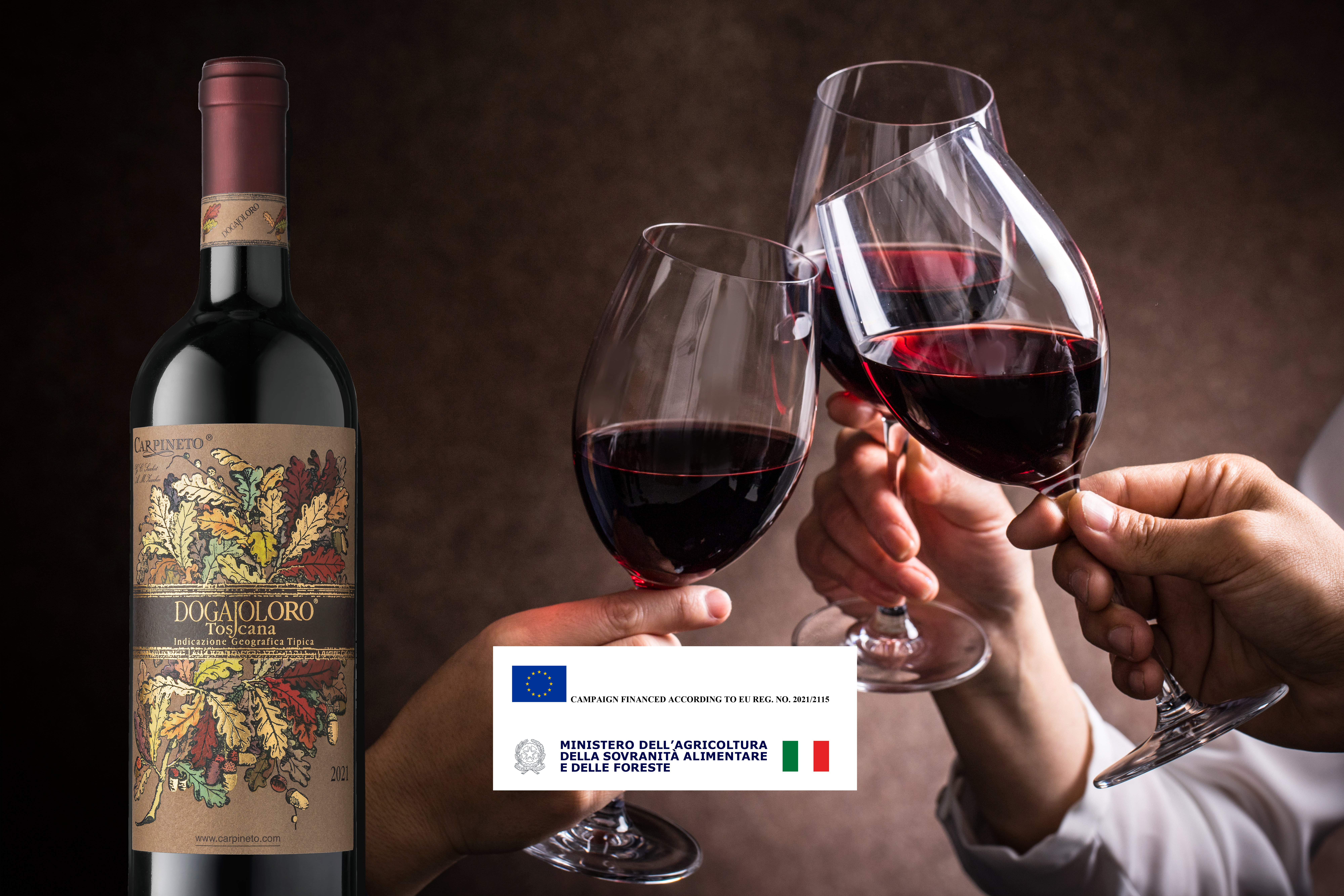 World Friendship Day: three wines to toast with friends
